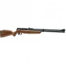 Пневматическая винтовка CROSMAN Benjamin Discovery BP9M22GP